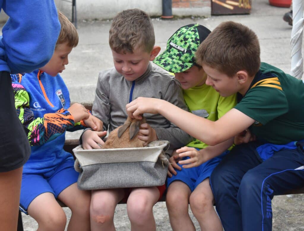 Four boys playing with a rabbit at Nore Valley Park pet farm.