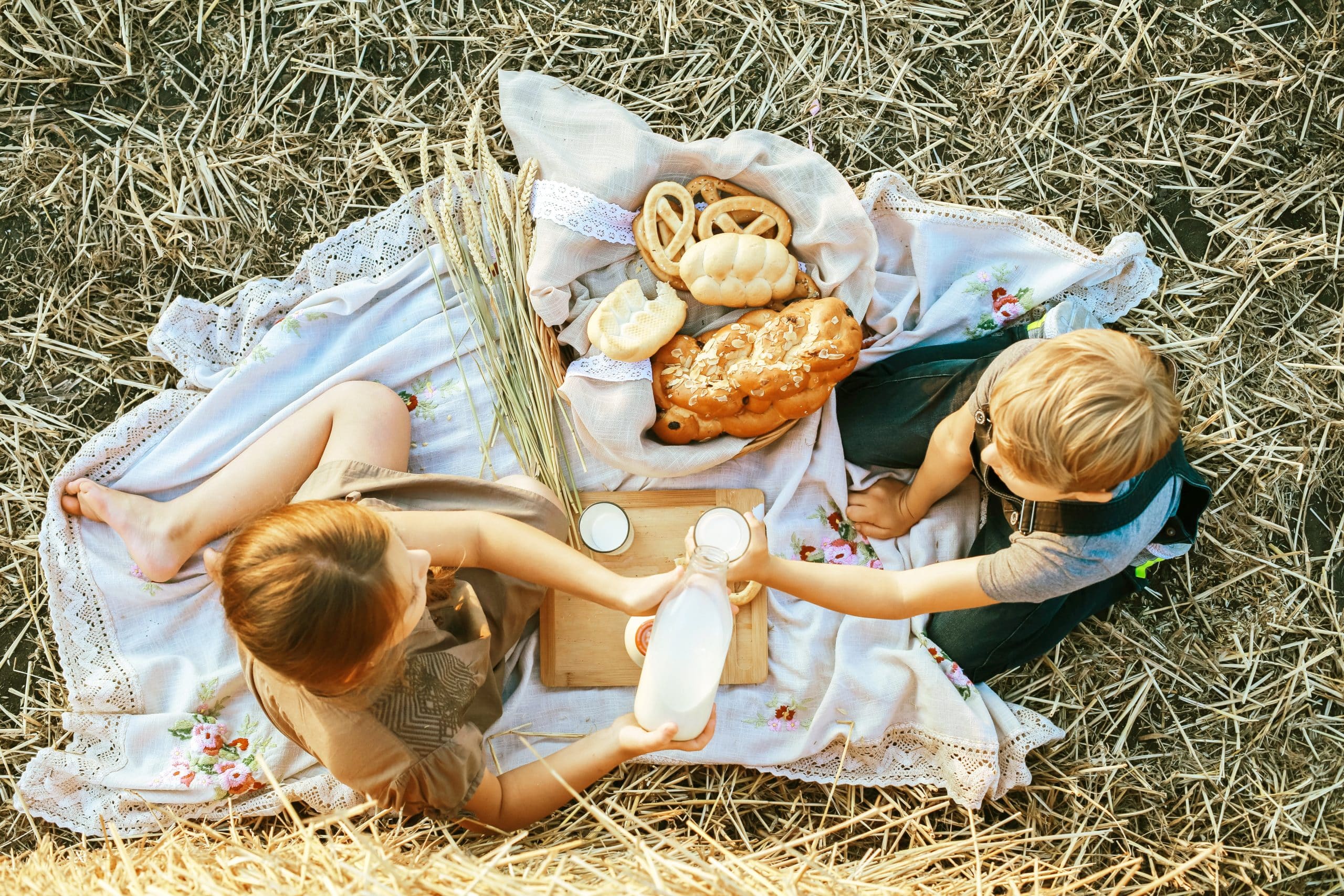 Children at a picnic.