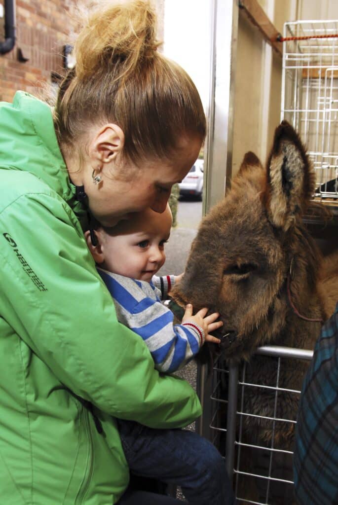 A woman and a child gently pet a friendly donkey at Nore Valley Park pet farm in Kilkenny.